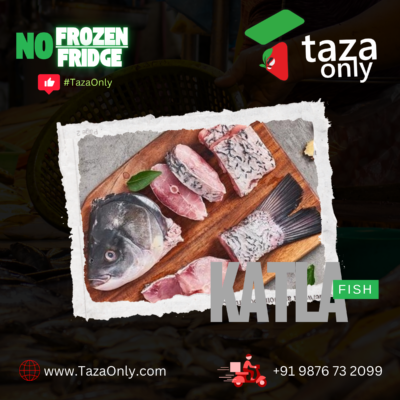 Katla Fish Fresh and Live Cut 1kg