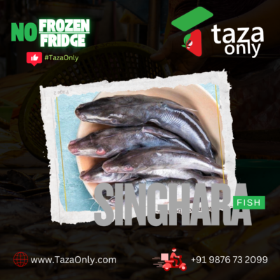 Singhara Fish Fresh Cut 1kg